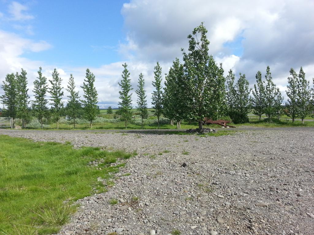 Skalinn Between Gullfoss And Geysir - Myrkholt Farm Haukadalur Екстериор снимка