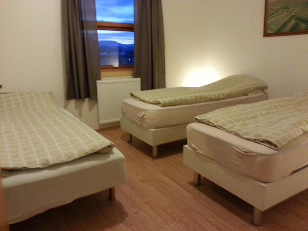 Skalinn Between Gullfoss And Geysir - Myrkholt Farm Haukadalur Стая снимка