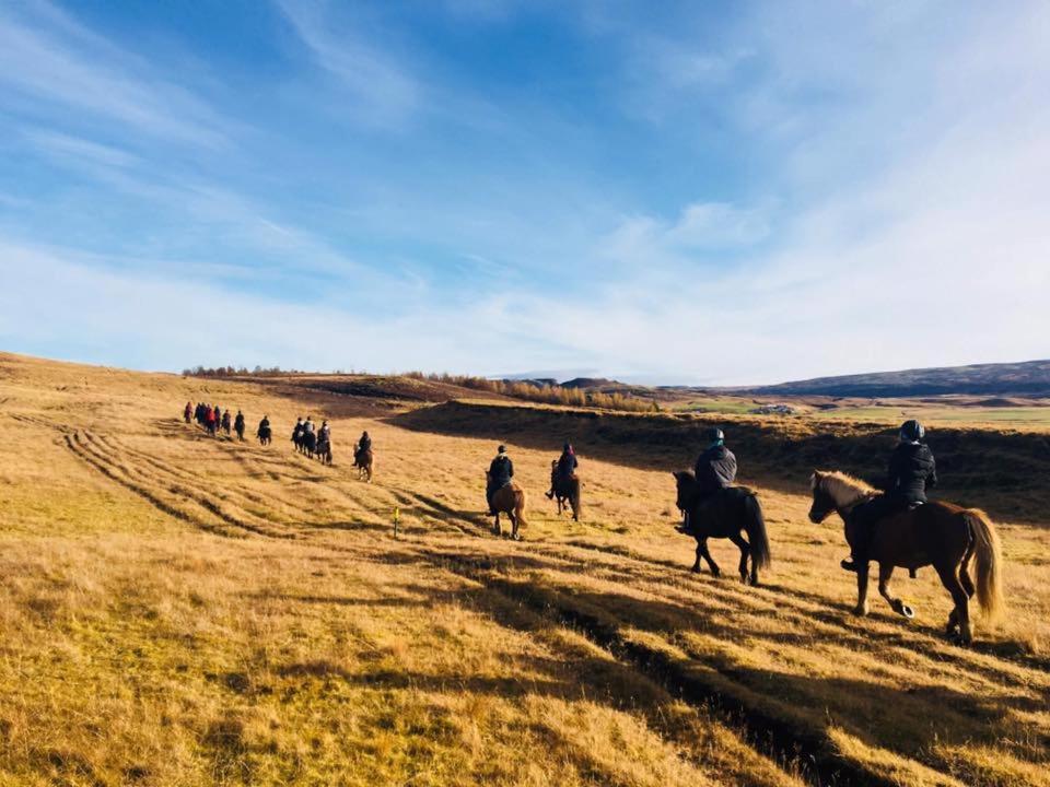 Skalinn Between Gullfoss And Geysir - Myrkholt Farm Haukadalur Екстериор снимка